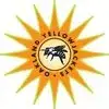Oakland Yellowjackets Bicycle Club (OYJ)